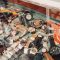 Where to Buy Vintage Watches Online in India: A Shopper’s Guide I Jordan Watches